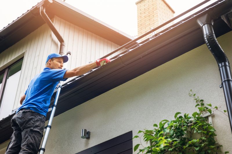 Exterior Home Repair in Denver County, CO