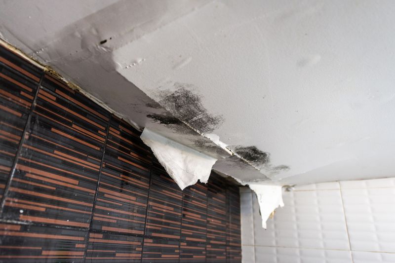 Leaking Ceiling Repair in Charleston, SC